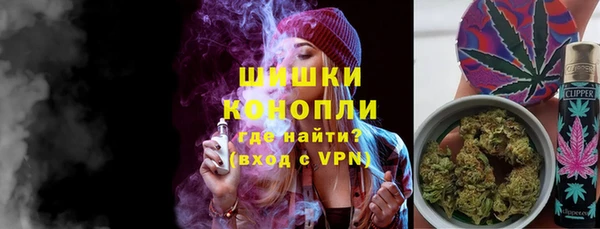 PSILOCYBIN Кулебаки