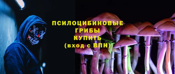 твердый Армянск