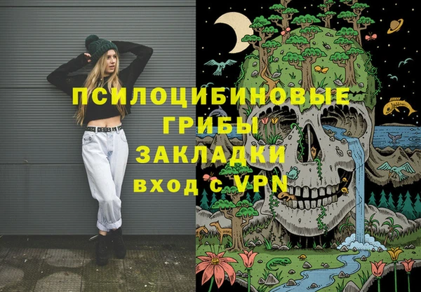 спиды Арсеньев