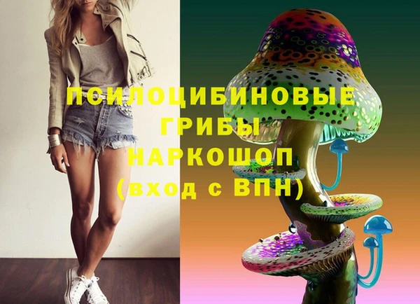 твердый Армянск